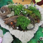 rhubarb leaf faery garden