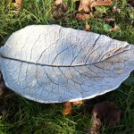 Comfrey Leaf