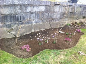 Wall garden