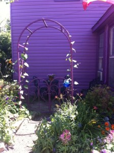 lily dale purple house